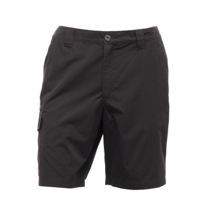 Regatta Crossfell Erkek Şort-GRİ